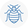 Bed Bug Extermination In Lancashire